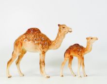 Beswick Camel and foal: Models 1044 & 1043 (2)