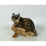 Beswick Racoon 2194