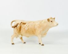 Beswick Charolais cow 3075A