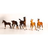 Beswick foals to include orange bay large thoroughbred 1813, comical 728, grazing 946, foal 1084 and
