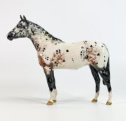 Beswick Appaloosa Horse 1772, chip to tip of ear