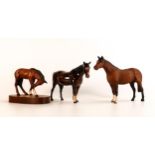 Beswick horses to include Sunlight 2875, small thoroughbred stallion 1992, mare facing right 1991 (
