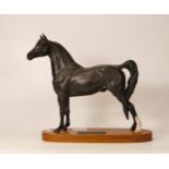 Beswick Connoisseur model of a Morgan horse 2605