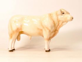 A John Beswick study, Charolais Bull