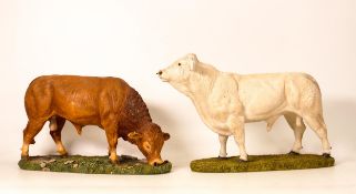 Sherratt & Simpson resin cattle figures Charolais Bull & Limousin Bull (a/f)(2)
