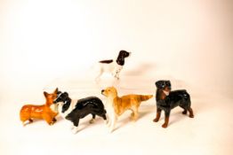Beswick dogs to include Corgi 1736, Cocker Spaniel 1754, Sheepdog 1854, Retriever 1855 and