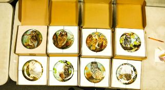 A collection of Boxed Coalport Decorative Owl Collection Wall Plates (8)