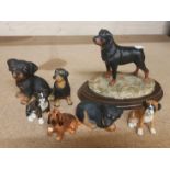 A collection of pottery and resin dogs to include Royal Doulton Spaniel K9, unmarked bulldogs, and