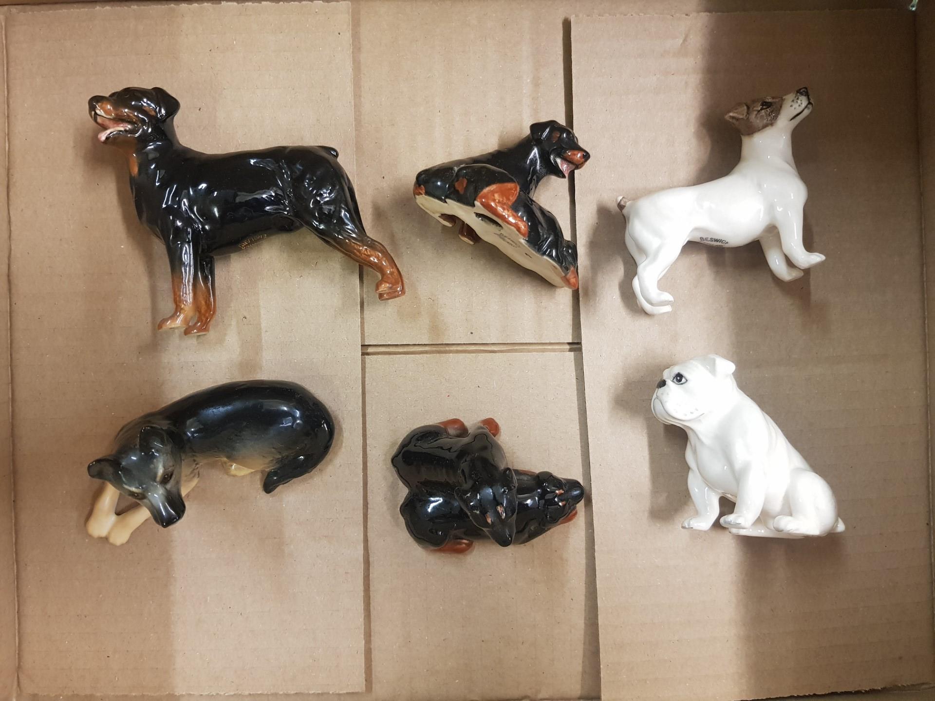 Beswick dogs to include Rottweiler puppies x2, Rottweiler standing, seated Bulldog, seated