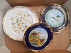 A mixed collection of spode cabinet/wall plates including a handpainted gamebirds series plate by A.