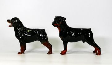 Beswick Rottweiler standing 3260 together with a similar rotweiler (2)