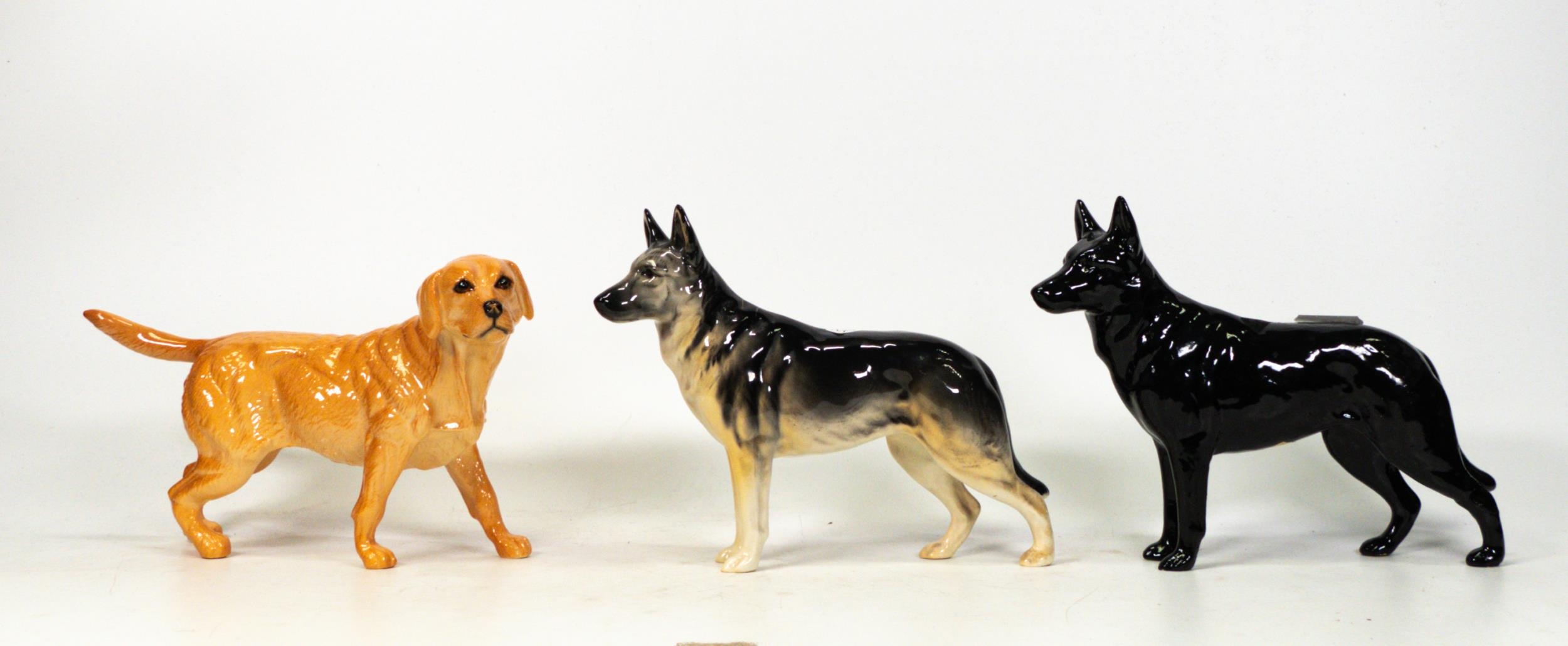 Beswick Labrador D145 & 2 Alsatians 969 (one over painted black)(3)