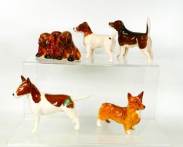 A collection of Beswick Dogs to include Beagle 114, Jack Russell 2109, Puppies 817, Corgi 1736 &