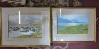 Warren Williams framed prints ( personal prints produced from originals) of Welsh Landscape, largest