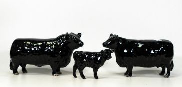Beswick Aberdeen Angus family: Comprising Bull 1562, Cow 1563 and Calf 1827A (3)