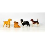 Four Beswick dogs to include Sheepdog 1854, Labrador 1956, golden retrievers 3376 and Beagle