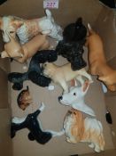 A Collection of Sylvac dogs to include Airedale Terrier, Scottish Terrierm Labrador, Pug, Chihuahua,