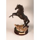 Beswick Rearing Cancara The Black Horse on wooden base: height 46cm.