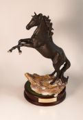 Beswick Rearing Cancara The Black Horse on wooden base: height 46cm.