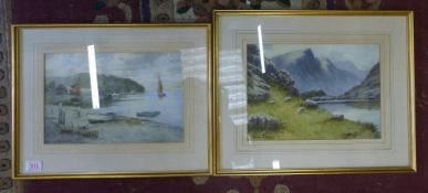 Warren Williams framed prints ( personal prints produced from originals of The Norfolk Broad & Welsh