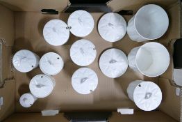 Eleven Shelley Dainty white perserve pots in various sizes
