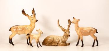 Beswick Stag family group stag standing stag lying, doe and fawn(4)