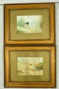 Two Framed H JJ Davenport Early 20th Century Watercolours of Wild Birds, frame size 36.5cm x 45cm(2)