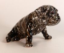 Anita Harris model of a Bulldog sitting . Gold signed to base, height 13.5cm, length 20cm