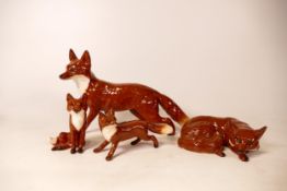 Beswick Fox family to include Curled 1017, Standing 1016a, small standing 1440 & seated 1748(4)