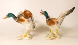 Beswick mallard ducks 749 and 750 (2)