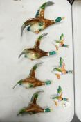 A collection of Wild Bird Theme Mid Century Wall Plaques, marked HO, largest length 27cm(7)