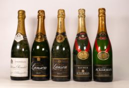 A collection of Vintage Champagne & Brut to include Autréau-Roualet, Ackerman Brut & Lanson Black