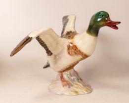 Beswick Sheldrake Duck Settling, beak open 995