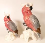 Beswick Cockatoo Large 1818 & 1180(2)
