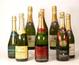 A collection of vintage Sparkling Wines to include Ackerman Saumur, M&S Cava, M&S Sparkling French ,