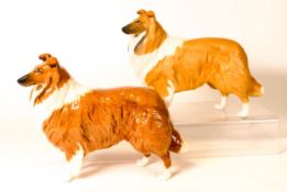 Beswick Collie Lochinvar of Ladypark in gloss and matt together with Beswick Jay 2417 (3)
