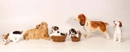 Royal Doulton dogs to include two puppies in basket, puppy yawning (A/F), puppy with ball, Cocker