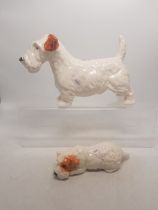 A collection of Beswick dogs to include a Seallyham Terrier standing together with a smaller lying