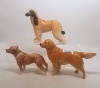 A collection of Beswick dogs to include Afghan Hound Hajubah of Dalen together with a Golden