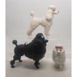 A collection of Beswick dogs to include a white gloss Poodle together with a matt black poodle and a