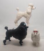 A collection of Beswick dogs to include a white gloss Poodle together with a matt black poodle and a