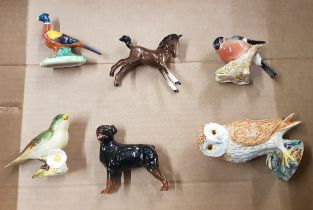 A collection of Beswick figures to include small barn owl, rottweiler, pheasant, bullfinch,