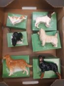 A collection of 6 small boxed Beswick dogs to include King Charles, Rottweiler etc (6)