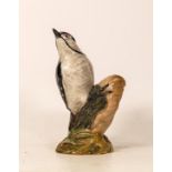 Beswick Lester spotted woodpecker 2420