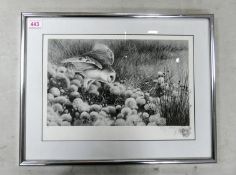 Framed and Signed Artist Proof Print of a Barn Owl in Flight. Indistinct Signature (possibly