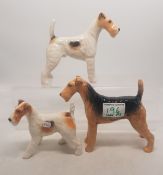 A collection of Beswick dogs to include Airedale Terriers Cast Iron Monarch, Talavera Romulus and