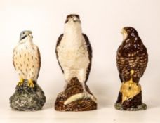 Royal Doulton decanters to include Buzzard, Kestrel and Osprey . All empty (3)