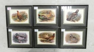 A Group of Six Ornithological Prints to include Game Birds and English Wild Birds (6)