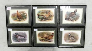 A Group of Six Ornithological Prints to include Game Birds and English Wild Birds (6)