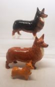 A collection of Beswick dogs to include three Corgis, one called Black Prince (2 large & 1 small)(